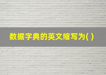 数据字典的英文缩写为( )